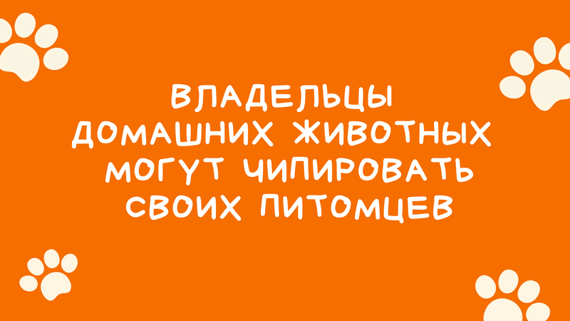 В Котовске владельцы домашних животных могут чипировать своих питомцев.