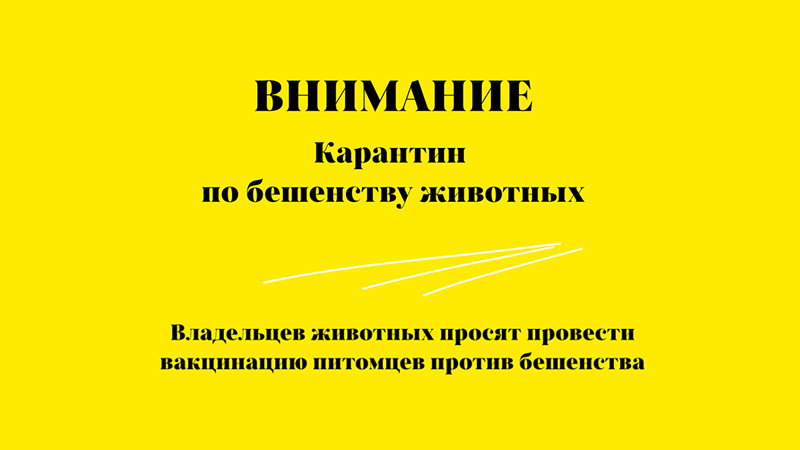 С 5 февраля на нескольких улицах Котовска введен карантин по бешенству животных.