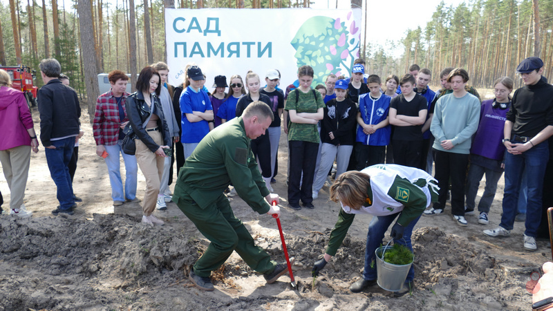 На территории Котовского участкового лесничества разрастается Сад памяти.