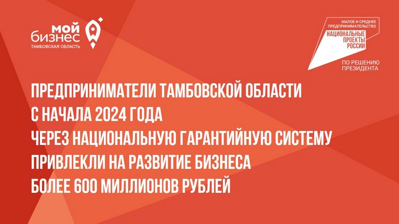 Предприниматели Тамбовской области с начала 2024 года через Национальную гарантийную систему привлекли на развитие бизнеса более 600 миллионов рублей.