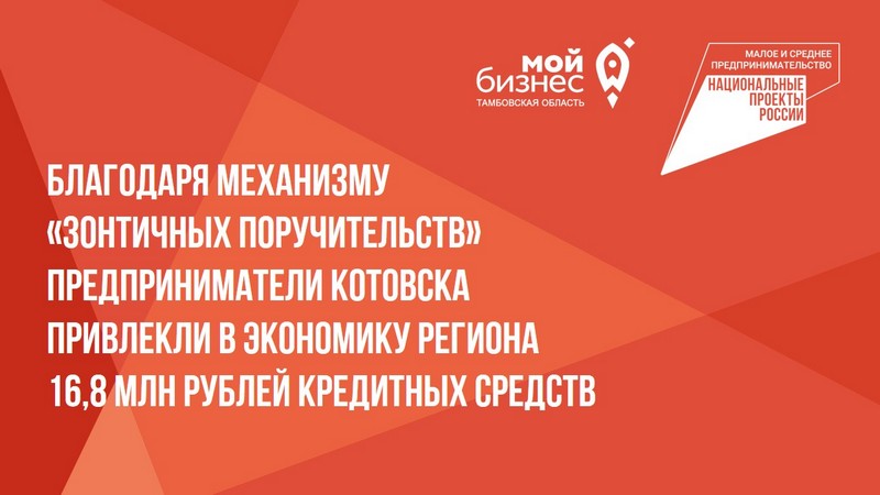 Благодаря механизму «зонтичных поручительств» предприниматели Котовска привлекли в экономику региона 16,8 млн рублей кредитных средств.