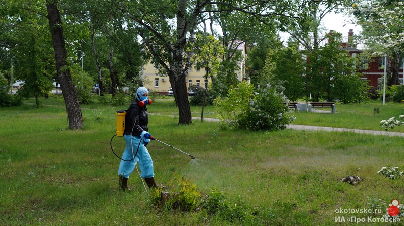 В Котовске проводят обработку общественных пространств от клещей.