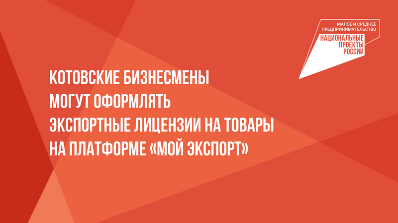 Котовские бизнесмены могут оформлять экспортные лицензии на товары на платформе «Мой экспорт».