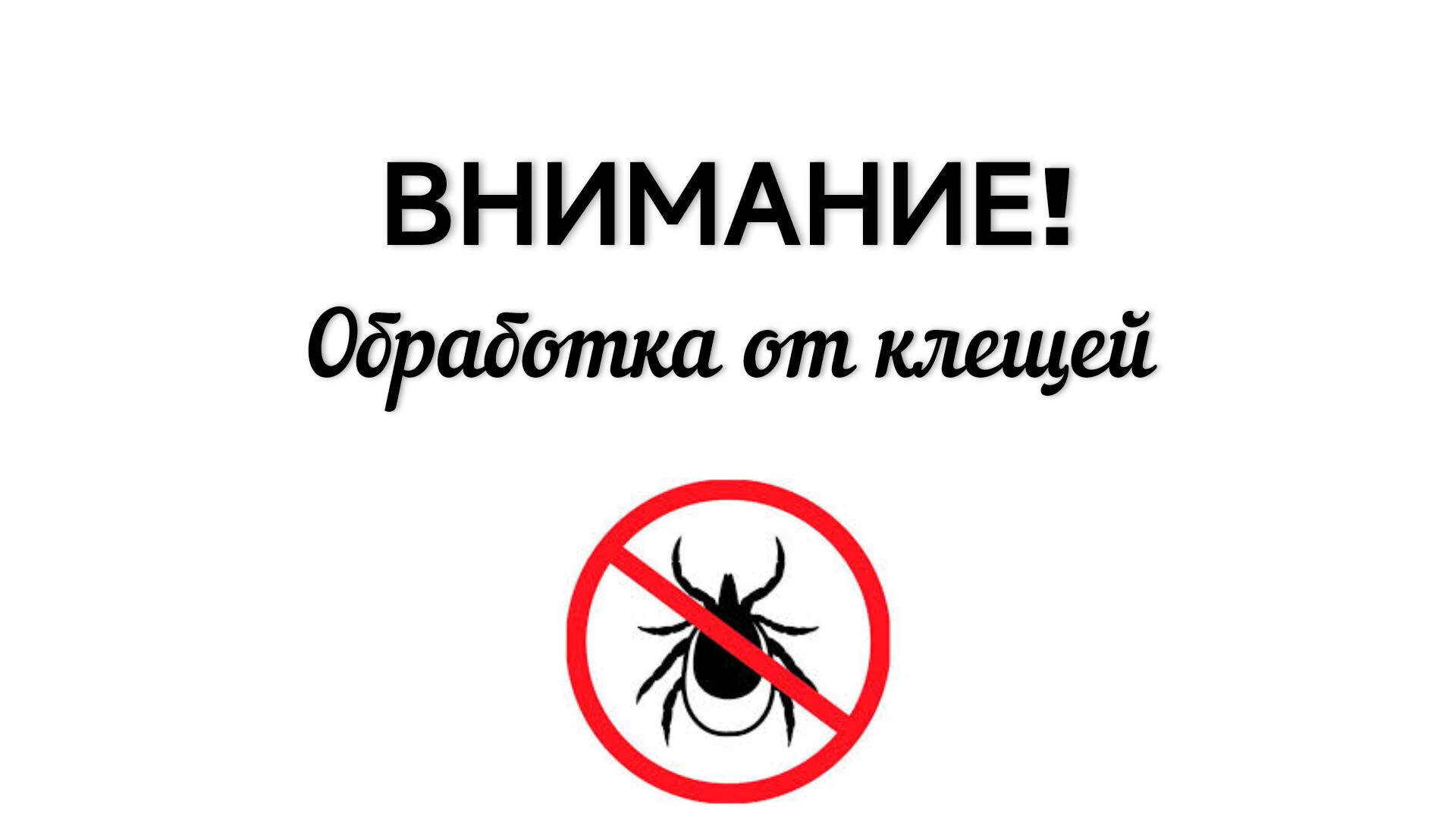 На городском кладбище Котовска проведут обработку от клещей.