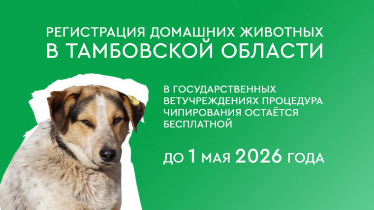 Владельцам домашних животных из Котовска напоминают о необходимости чипирования своих питомцев. Владельцам домашних животных из Котовска напоминают о необходимости чипирования своих питомцев.